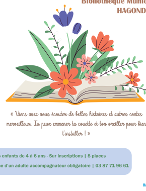 Histoires et contes merveilleux